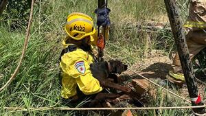 Bomberos voluntarios rescataron a un Firuláis que cayó en un pozo