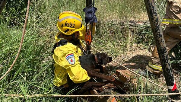 Bomberos voluntarios rescataron a un Firuláis que cayó en un pozo
