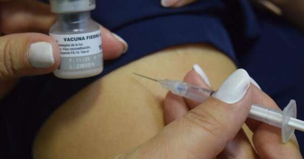 La Nación / OPS alerta por aumento de casos de fiebre amarilla