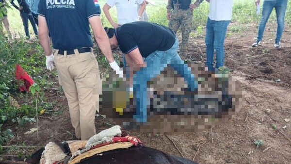 Un hombre y su mula murieron electrocutados