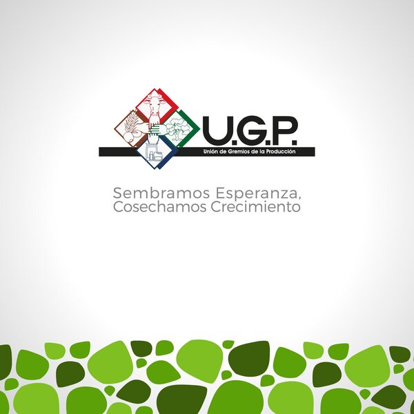 UGP llama a defender un Paraguay con instituciones fuertes y respeto a la ley | Agronegocios | 5Días