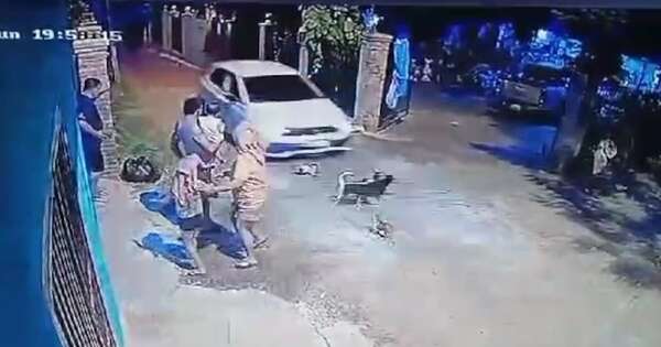 La Nación / Imputan a un hombre que chocó y mató a perros de sus vecinos