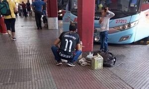 Denuncian que empresa mandó a gato a viajar en maletero y falleció