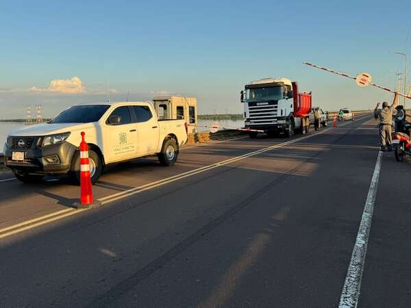 Ayolas: incautación de camión con madera nativa de la reserva de Yacyretá salpica a políticos - Nacionales - ABC Color