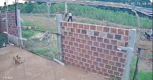 Diario HOY | Detienen a sospechosos por matar a un perro