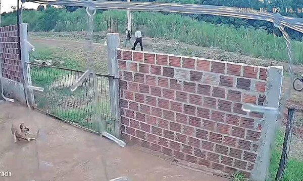 Detienen a sospechosos por matar a un perro – Prensa 5