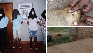 Cambyretá: detienen a supuestos responsables de la muerte de un perro
