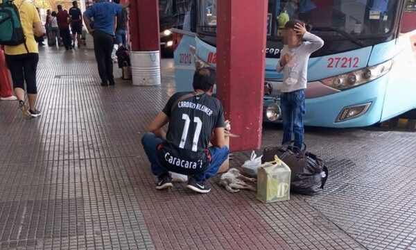 Empresa de transportes obligó a llevar a una mascota en el maletero y falleció