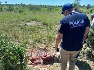 Los abigeos no dan tregua a ganaderos en Fuerte Olimpo - Noticias del Chaco - ABC Color