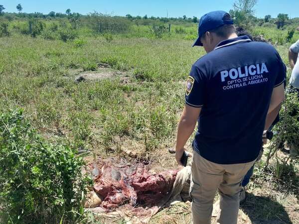 Los abigeos no dan tregua a ganaderos en Fuerte Olimpo - Noticias del Chaco - ABC Color