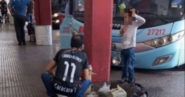 Diario HOY | Terrible: gatito muere asfixiado en maletero de bus