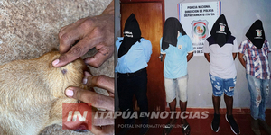 INVESTIGAN A CUATRO DETENIDOS POR LA MUERTE DE UN PERRO EN CAMBYRETÁ - Itapúa Noticias