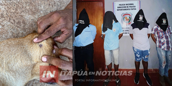 INVESTIGAN A CUATRO DETENIDOS POR LA MUERTE DE UN PERRO EN CAMBYRETÁ - Itapúa Noticias