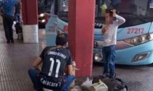 Terrible: gatito muere asfixiado en maletero de bus – Prensa 5