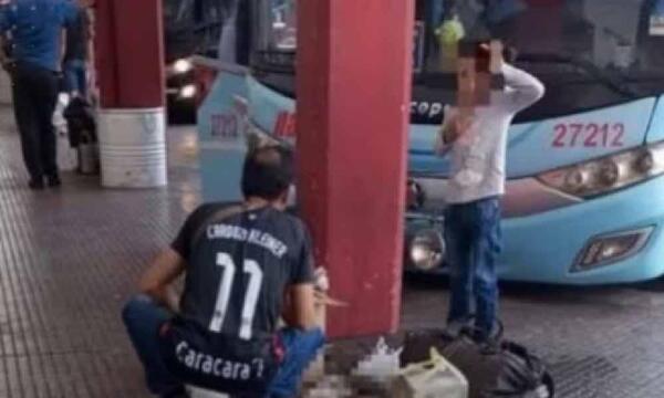 Terrible: gatito muere asfixiado en maletero de bus – Prensa 5