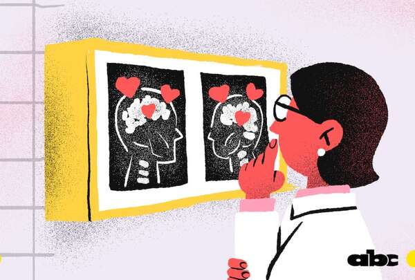 ¿Cómo nos enamoramos según la ciencia?: Harvard responde - Ciencia - ABC Color