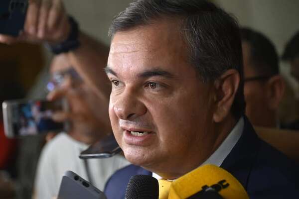 Incautación de madera: “Se trata de un montaje de parte de mis adversarios políticos”, dice diputado Arrechea - Nacionales - ABC Color