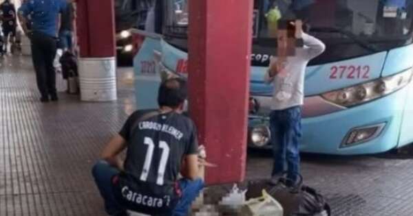 La Nación / Transportaron a gatito en maletero de bus de larga distancia y falleció al no soportar el calor
