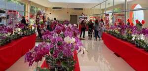 MAG: invitan a feria de orquídeas por el Día de los Enamorados - Economía - ABC Color