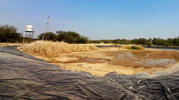 Extrema sequía agrava el padecer de indígenas del Bajo Chaco