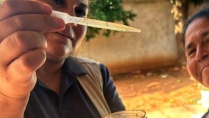 Experta alerta que alta temperatura favorece la multiplicación del Aedes