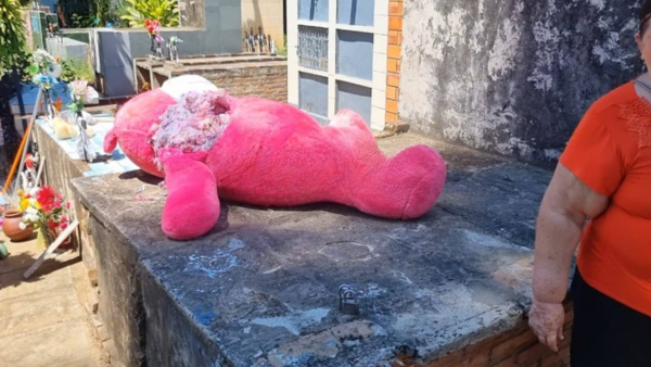 Roban peluche y juguetes del panteón de una niña