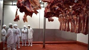 Anuncian planes estratégicos para exportación de carne paraguaya a Japón - 1000 Noticias