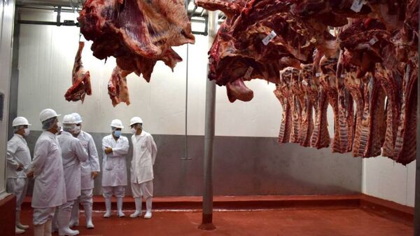 Anuncian planes estratégicos para exportación de carne paraguaya a Japón - 1000 Noticias