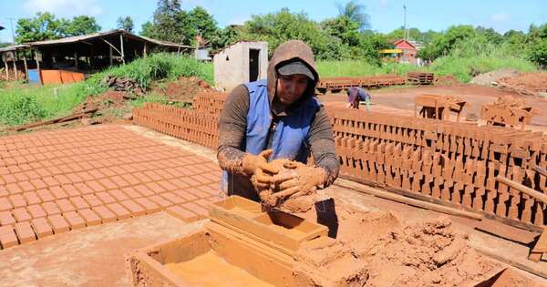 La Nación / Oleros guaireños buscan proveer su producción sin intermediarios