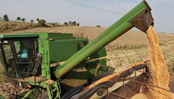 La AFD ofrece alivio financiero a productores afectados por el clima adverso • PARAGUAY TV