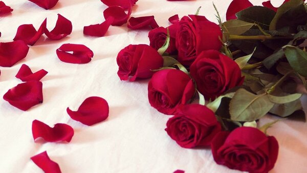 ¿Qué regalar a mi pareja para San Valentín?: 15 ideas románticas y originales