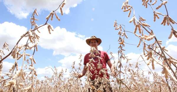 La Nación / Zafriña en el sur mejorará con lluvias, pero otras zonas tendrán acumulados irregulares