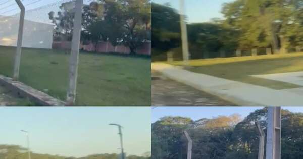 La Nación / Familia denuncia despojo de propiedad por parte de la Municipalidad de Luque