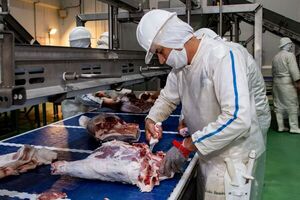 Exportaci贸n de carne porcina a Taiw谩n creci贸 108% durante el 2024