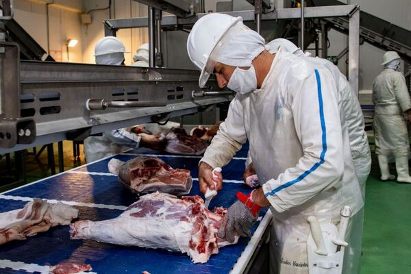 Exportaci贸n de carne porcina a Taiw谩n creci贸 108% durante el 2024