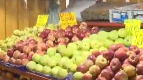 Consejos para incluir más frutas en tu dieta con Patricia Padrón - SNT