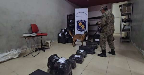 La Nación / Can antidrogas detectó presunta cocaína en encomienda con destino a Europa