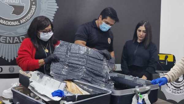 Interceptan carga de cinco kilos de cocaína que debía enviarse a España - 1000 Noticias