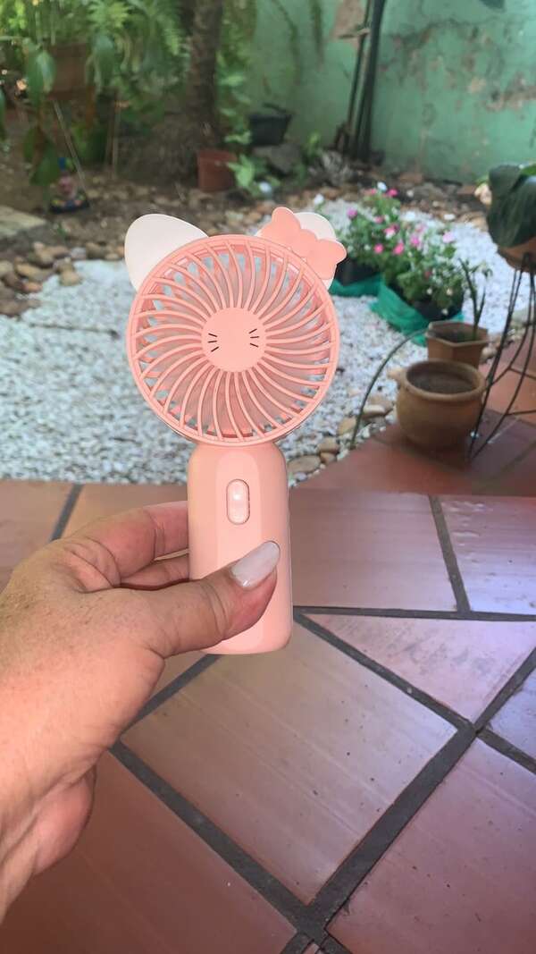 ANDE: consumo de electricidad en Paraguay llega a su pico histórico y marca nuevo record - Economía - ABC Color