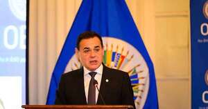 Diario HOY | Canciller paraguayo subraya papel clave de la sociedad civil en la OEA