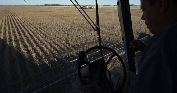 La Nación / USDA prevé caída de la reserva de maíz y estima una menor producción de soja