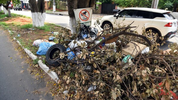 Riesgo por serotipo de dengue que puede causar gran epidemia