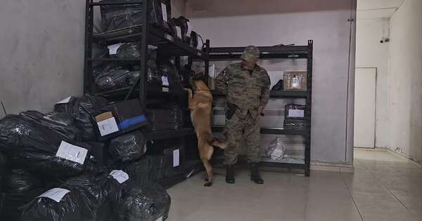 Diario HOY | Detectan clorhidrato de cocaína en encomienda rumbo a Madrid
