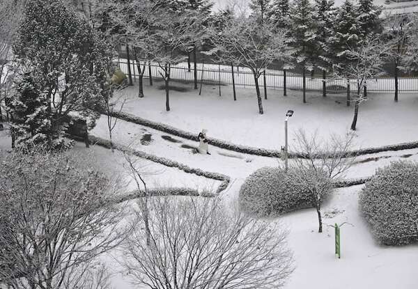 Doce muertos y 158 heridos por las fuertes nevadas en Japón desde el pasado día 4 - Mundo - ABC Color