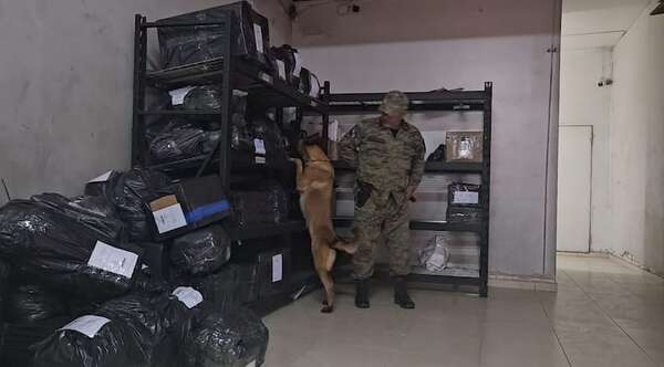 Detectan una carga de clorhidrato de cocaína dentro de un paquete preparado para ser enviado a Madrid