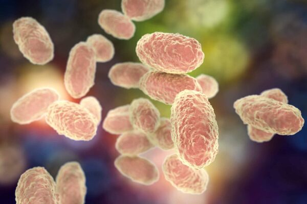 Salud emite alerta epidemiológica ante repunte de tos ferina - ADN Digital