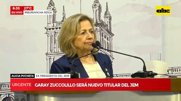 Pucheta informó sobre su gestión a Peña y propuso un sucesor en el JEM - ABC Noticias - ABC Color