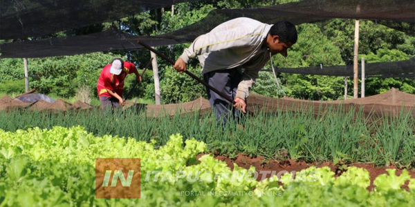 GOBERNACIÓN DE ITAPÚA IMPULSA HORTICULTURA SUSTENTABLE EN COMUNIDADES Y ESCUELAS - Itapúa Noticias