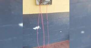 Diario HOY | Robo de cables en escuela deja varias aulas sin electricidad
