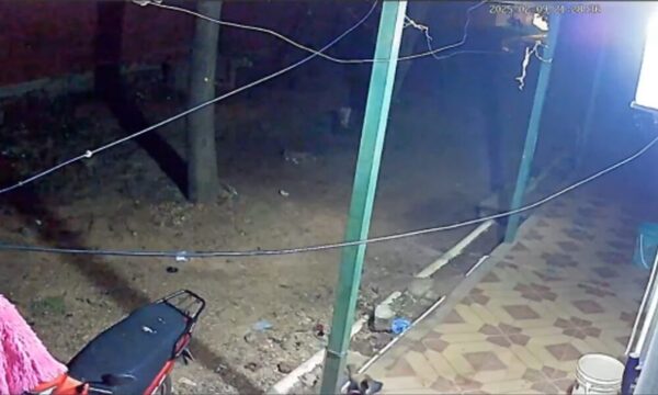 (VIDEO)Doña enloqueció por la música y tiró petardo contra una perrita